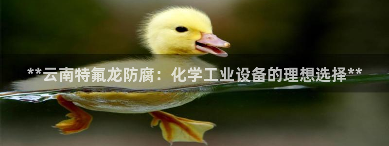 新宝gg平台是否合法