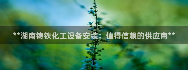 新宝gg创造奇迹平台怎么样