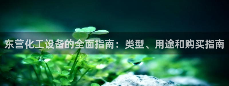 新宝gg案件