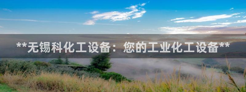 新宝gg最新更新内容与历史回顾