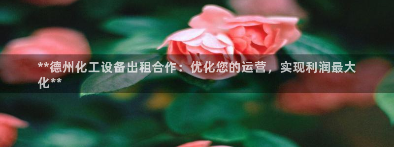 新宝gg创造奇迹登录入口网址