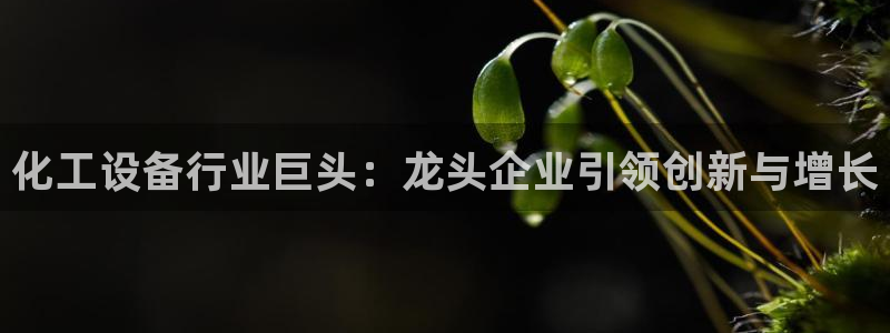 新宝gg官网登录找代理