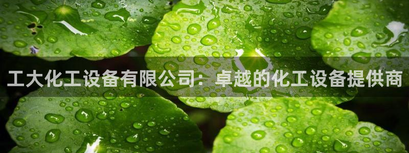 新宝gg是合法的吗