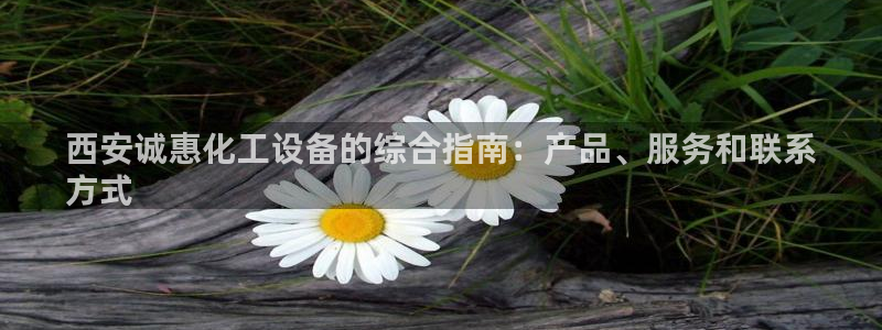 新宝gg创造奇迹官方登录入口