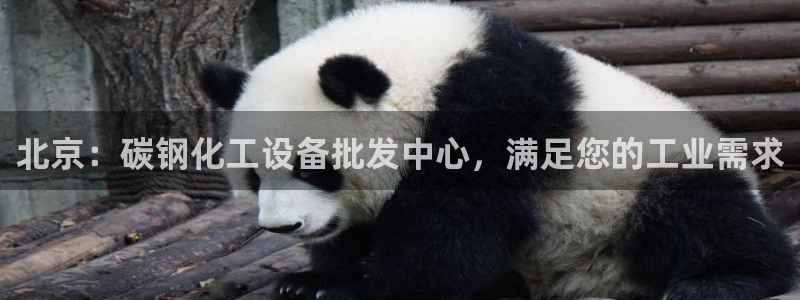新宝gg创造奇迹平台总代理