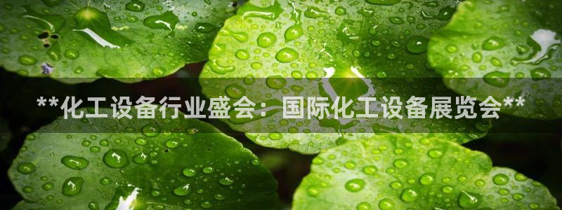 新宝gg一创造奇迹登陆新