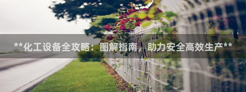 新宝gg平台注册登录指南