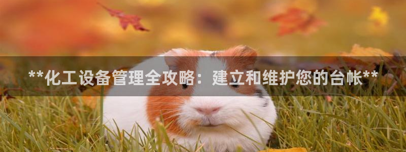 新宝gg账号首页