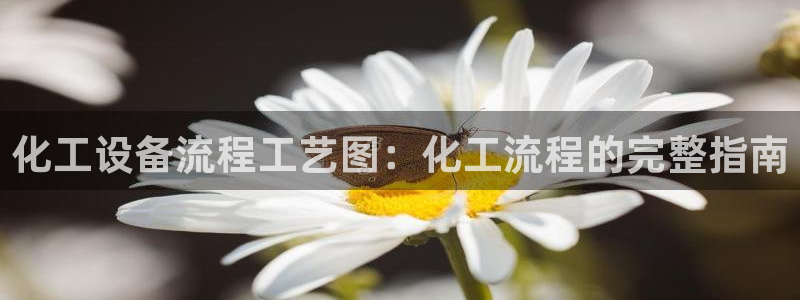 新宝GG创奇迹