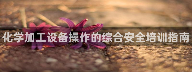 新宝gg游戏平台客服
