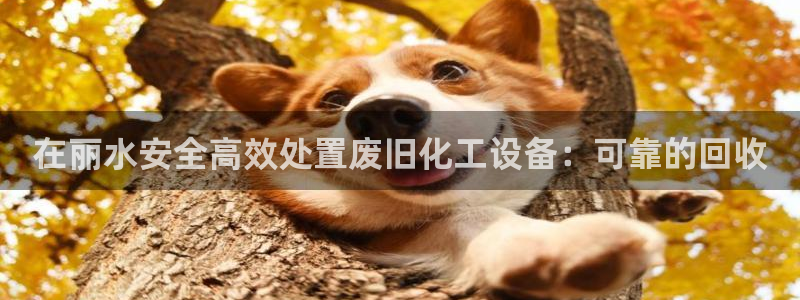 新宝gg一创造奇迹代理测速