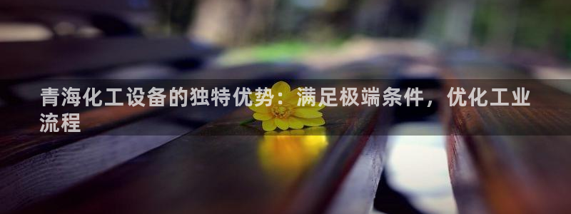新宝gg奇迹登录