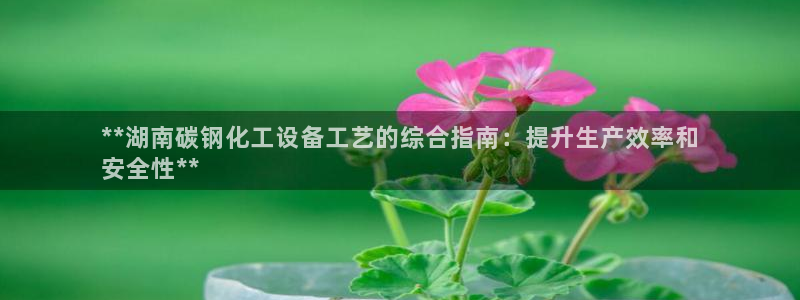 新宝gg平台—创造奇迹
