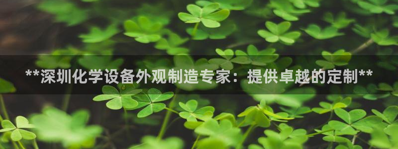 新宝gg平台注册登录指南