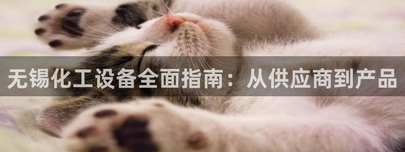 新宝gg登录了还能上吗