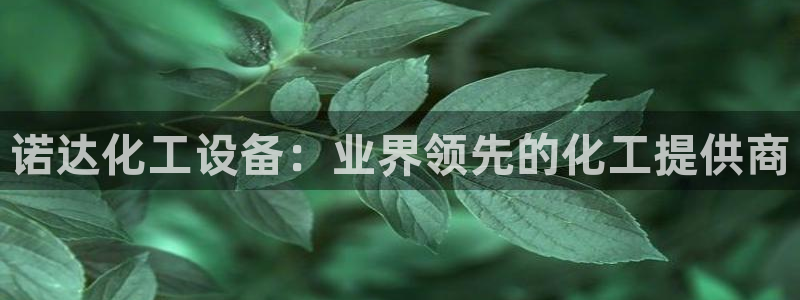 新宝gg 创造奇迹