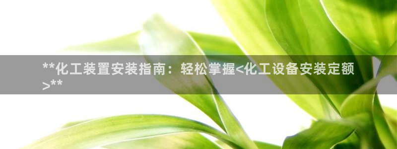 新宝gg—创造奇迹官网登录：**化工装置安装指南：轻松掌握<