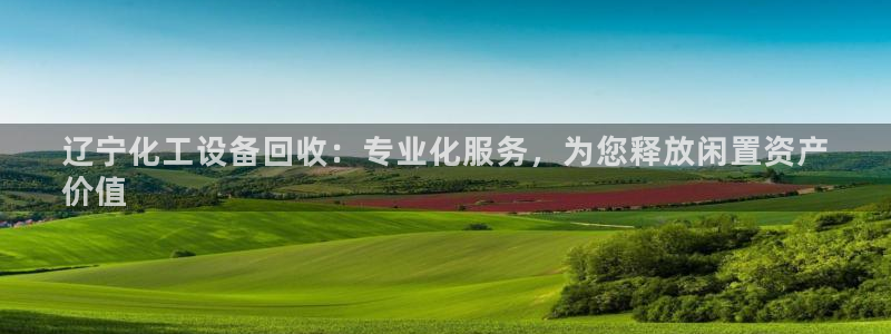 新宝gg怎么登录不了：辽宁化工设备回收：专业化服务，为您释放