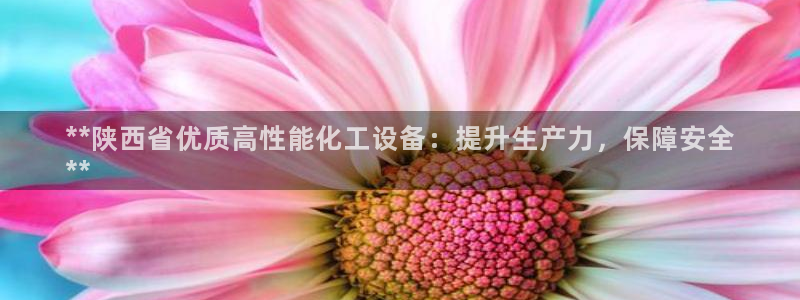 新宝GG创造奇迹：**陕西省优质高性能化工设备：提升生产力，