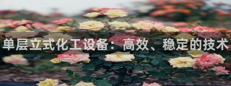 新宝gg创造奇迹代理：单层立式化工设备：高效、稳定