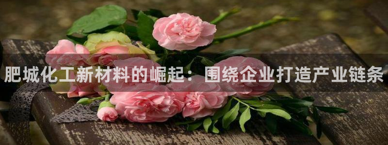 新宝gg一创造奇迹登：肥城化工新材料的崛起：围绕企