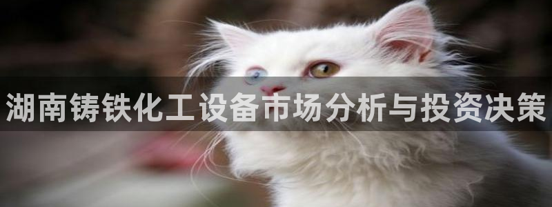 新宝gg—创造奇迹登录官网：湖南铸铁化工设备市场分析与投资决