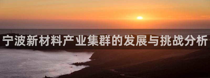 新宝gg奇迹登录怎么登录不了：宁波新材料产业集群的