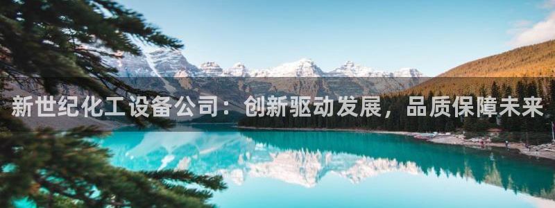 新宝GG平台负责人