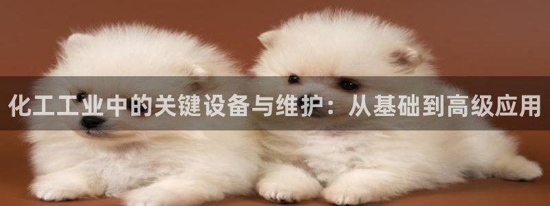 新宝gg注册平台