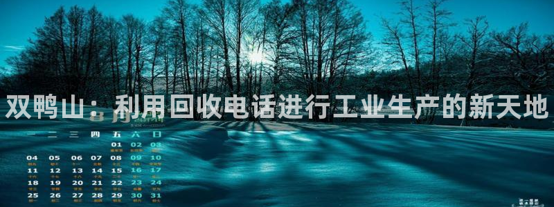 新宝GG民7O777：双鸭山：利用回收电话进行工业生产的新天